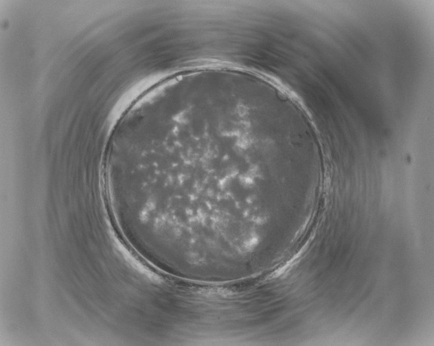 X0000052631239200507221742