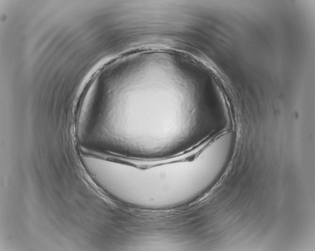 X0000052631240200507221742