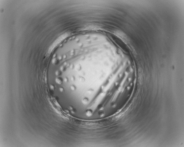 X0000052631241200507221742