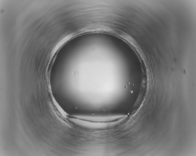 X0000052631242200507221742