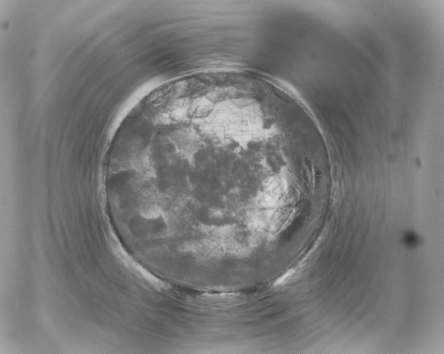 X0000052631243200507221742