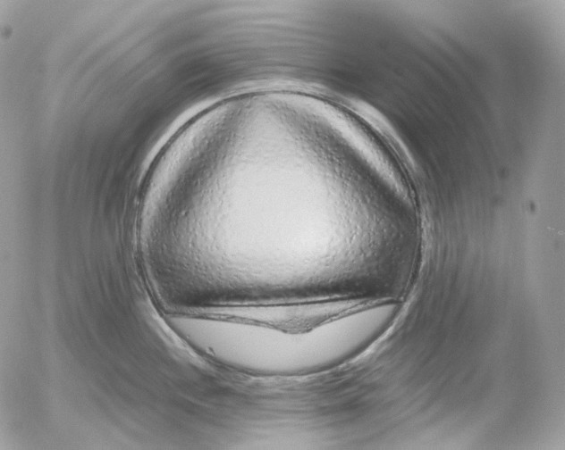 X0000052631244200507221742