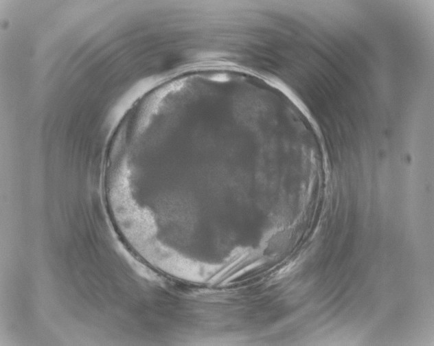 X0000052631245200507221742