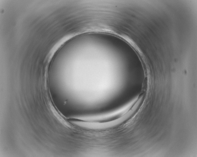 X0000052631246200507221742