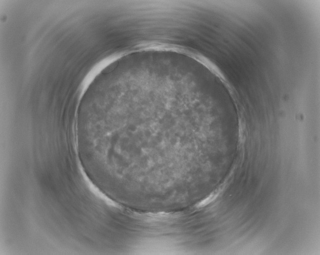 X0000052631247200507221742