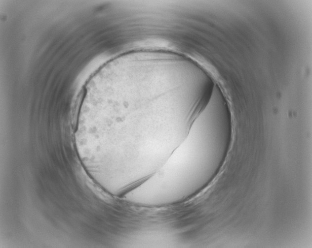 X0000052631248200507221742