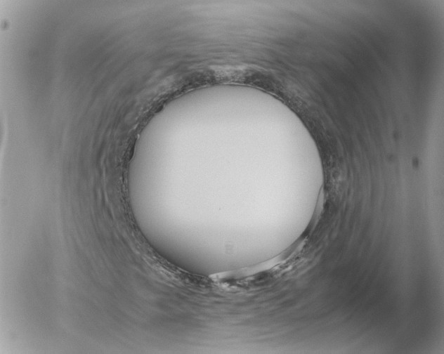 X0000052631249200507221741