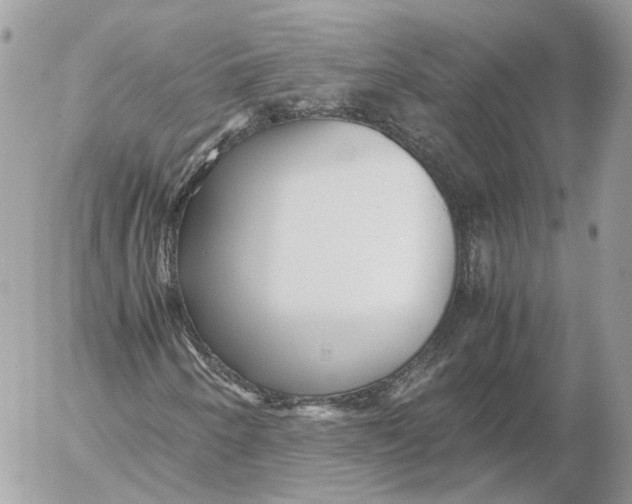 X0000052631250200507221741