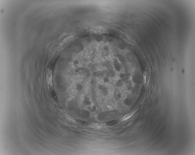 X0000052631251200507221741