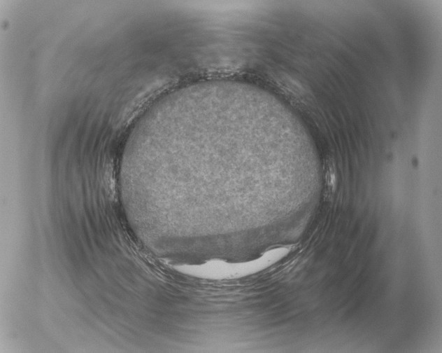 X0000052631252200507221741