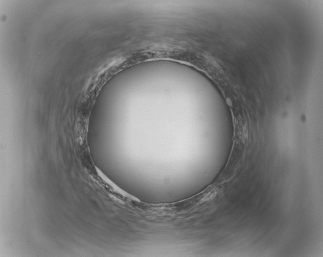 X0000052631253200507221741