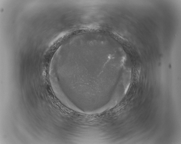 X0000052631254200507221741