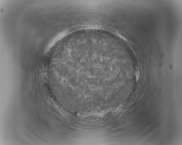 X0000052631255200507221741