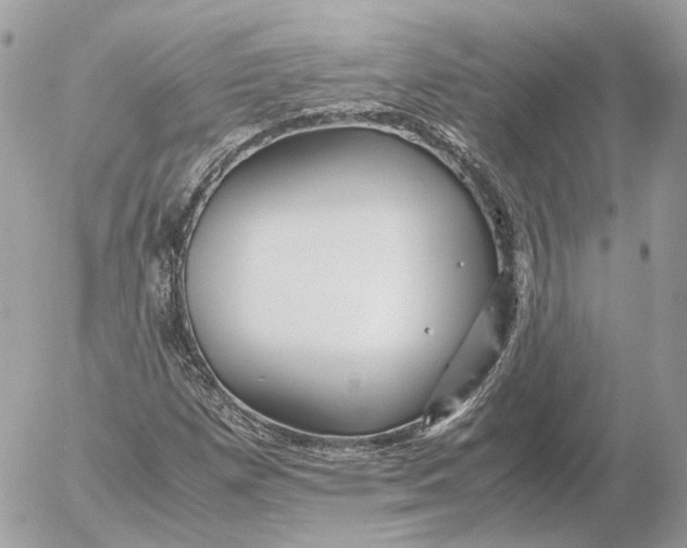 X0000052631257200507221741