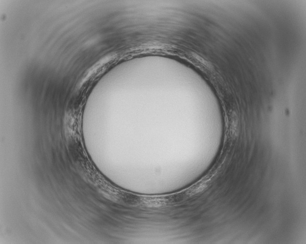 X0000052631258200507221741