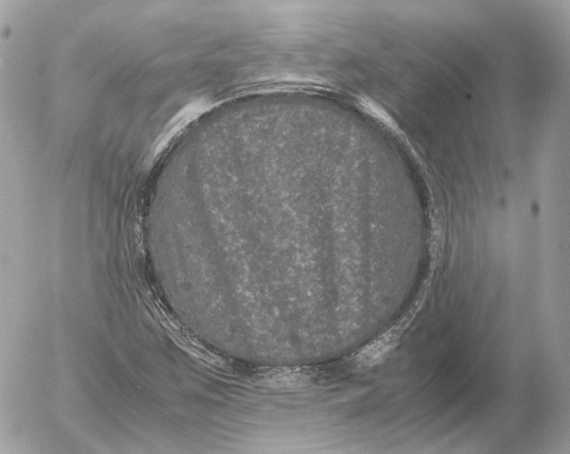 X0000052631259200507221741