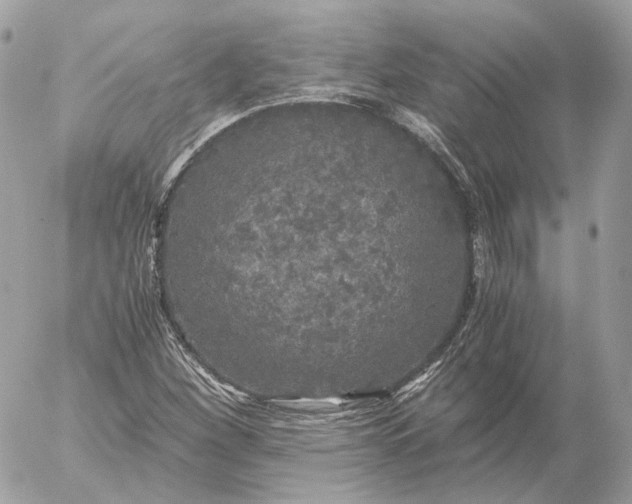 X0000052631260200507221741