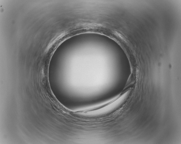 X0000052631261200507221741