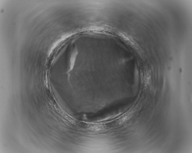 X0000052631262200507221741