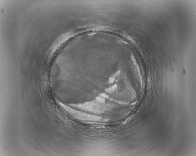 X0000052631263200507221741