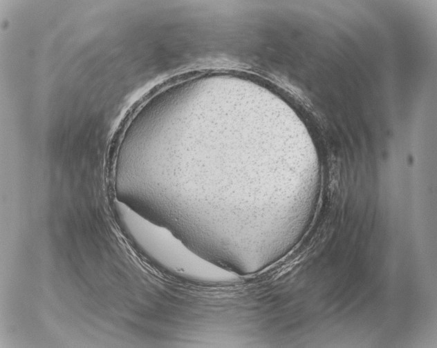 X0000052631264200507221741