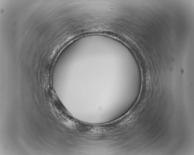 X0000052631265200507221741