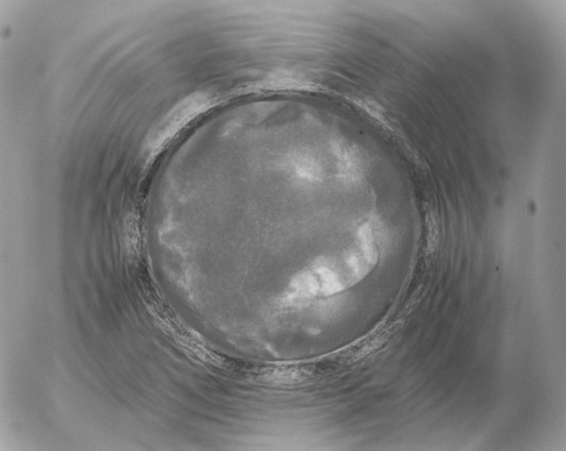 X0000052631266200507221741