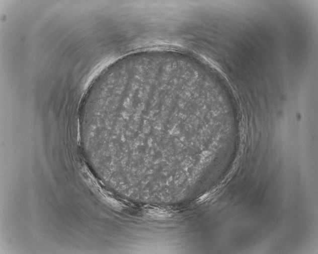 X0000052631267200507221741