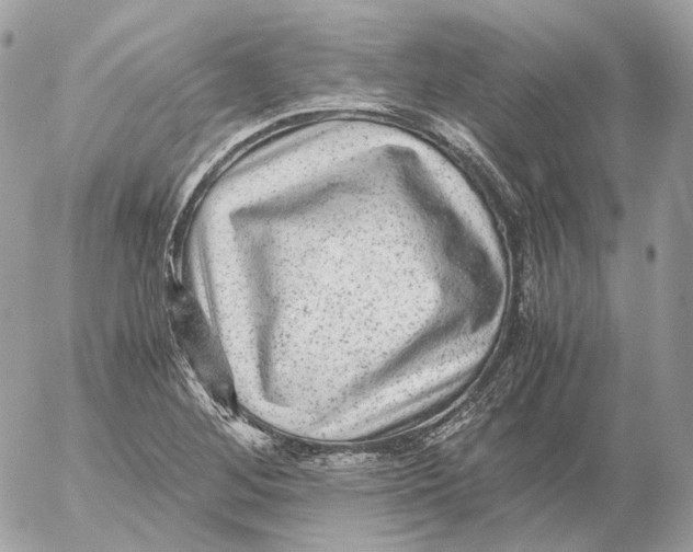 X0000052631268200507221741