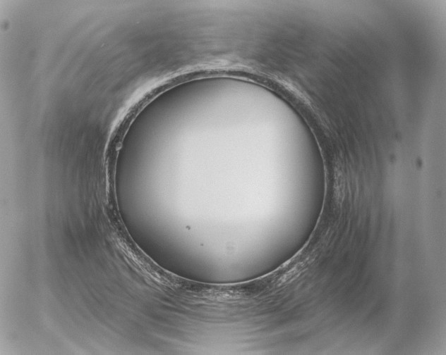 X0000052631270200507221741