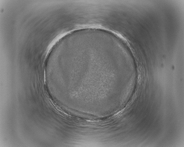 X0000052631271200507221741