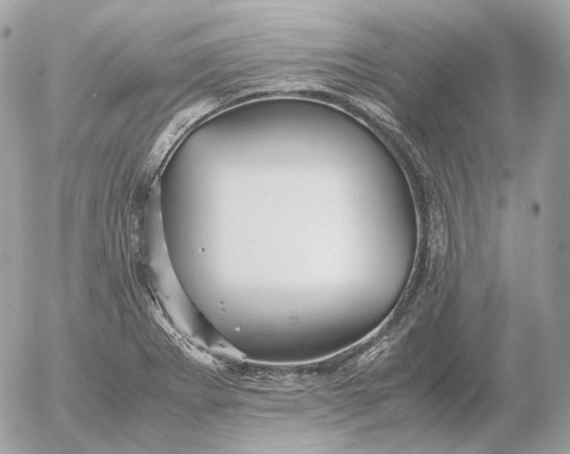 X0000052631273200507221741