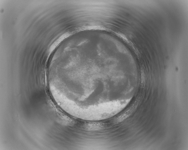 X0000052631274200507221741