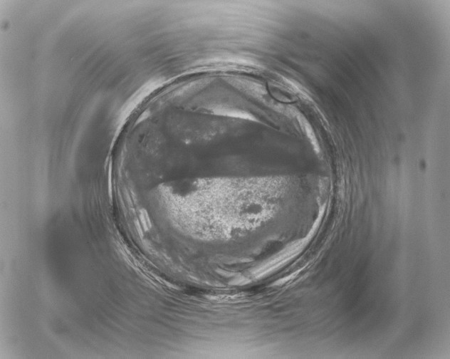 X0000052631275200507221741