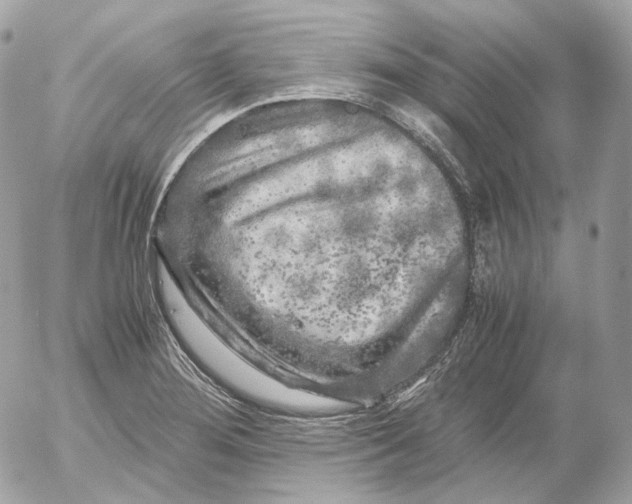 X0000052631276200507221741