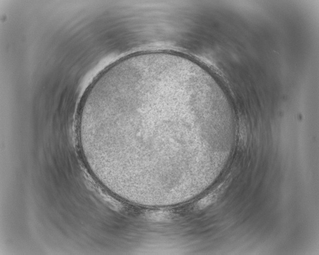 X0000052631278200507221741