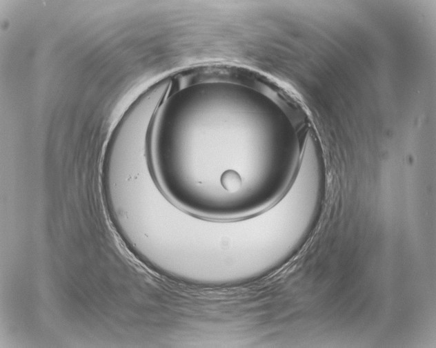 X0000052631279200507221741