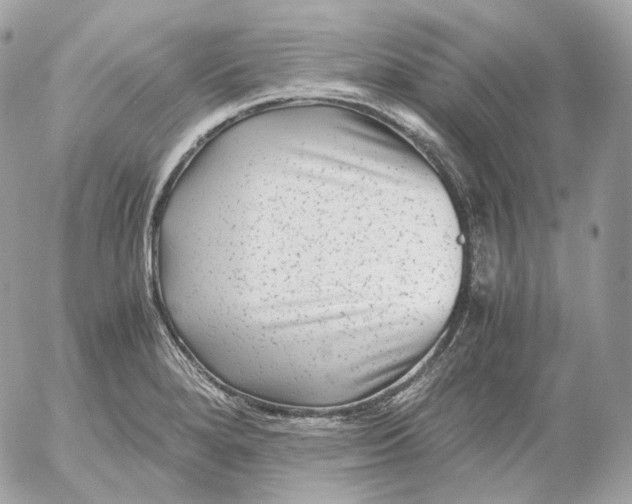 X0000052631280200507221741