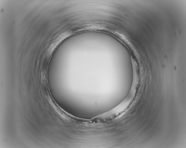 X0000052631281200507221741