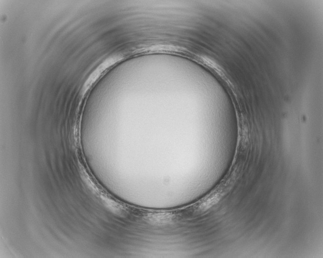 X0000052631282200507221741