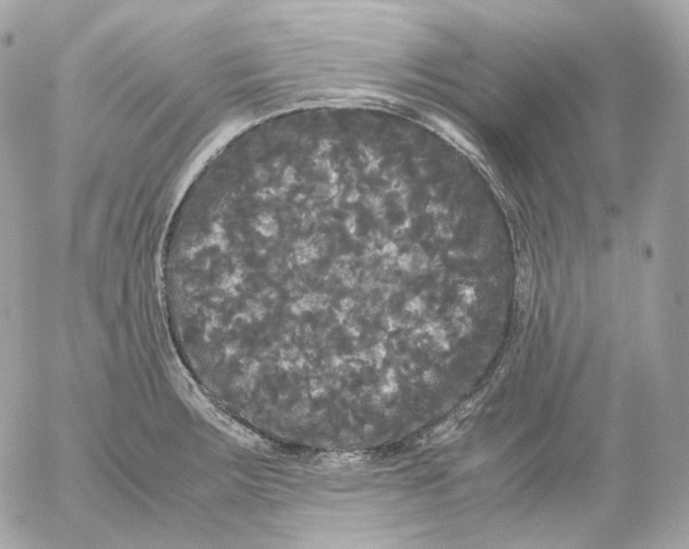 X0000052631283200507221741