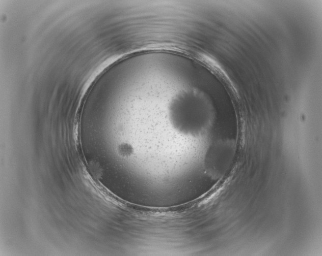 X0000052631284200507221740