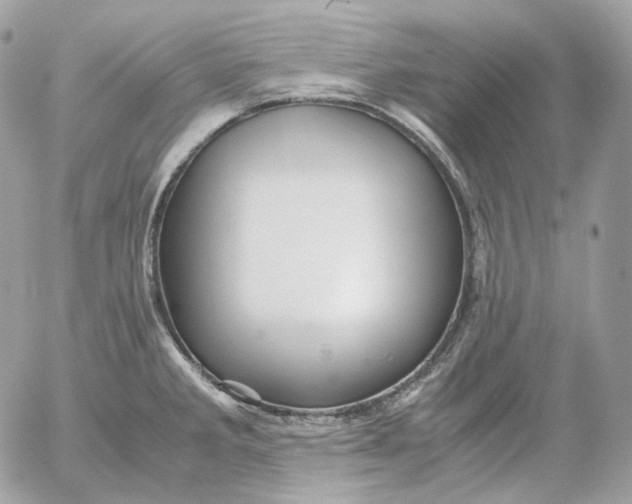 X0000052631285200507221740