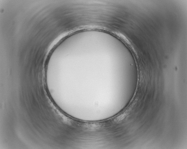 X0000052631286200507221740