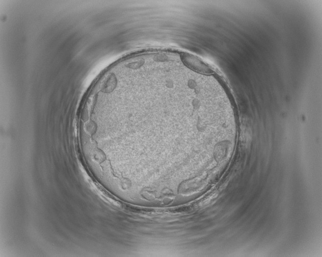 X0000052631287200507221740