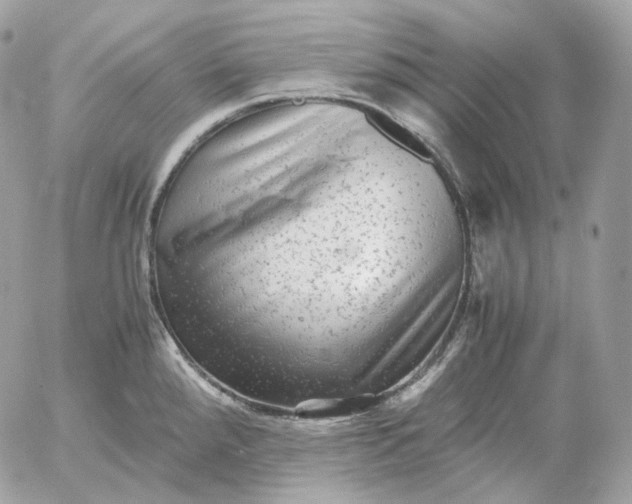 X0000052631288200507221740