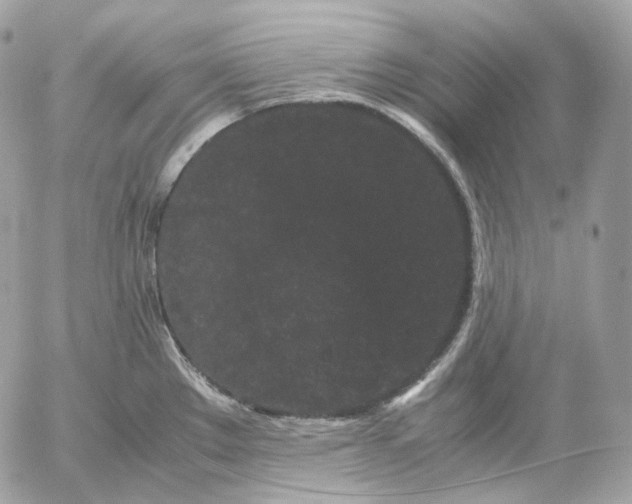 X0000052631289200507221740