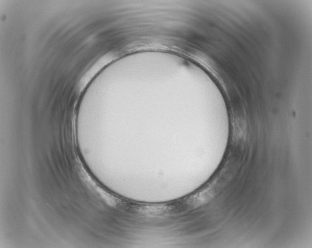 X0000052631290200507221740