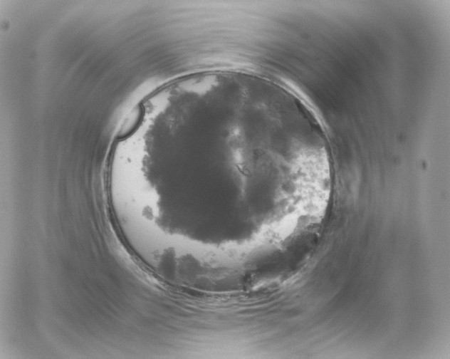 X0000052631291200507221740