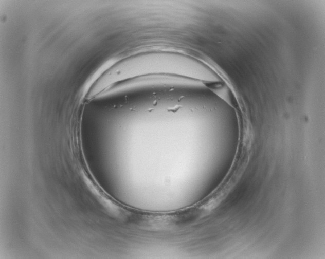 X0000052631293200507221740